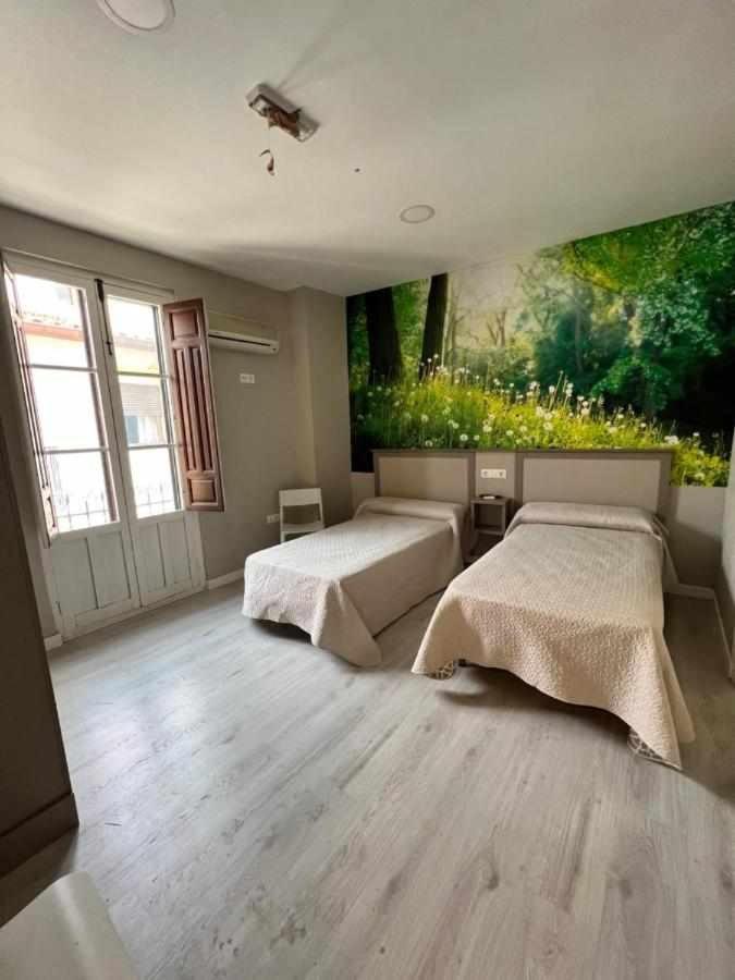 Hostal Viena Plaza Nueva Гранада Екстер'єр фото